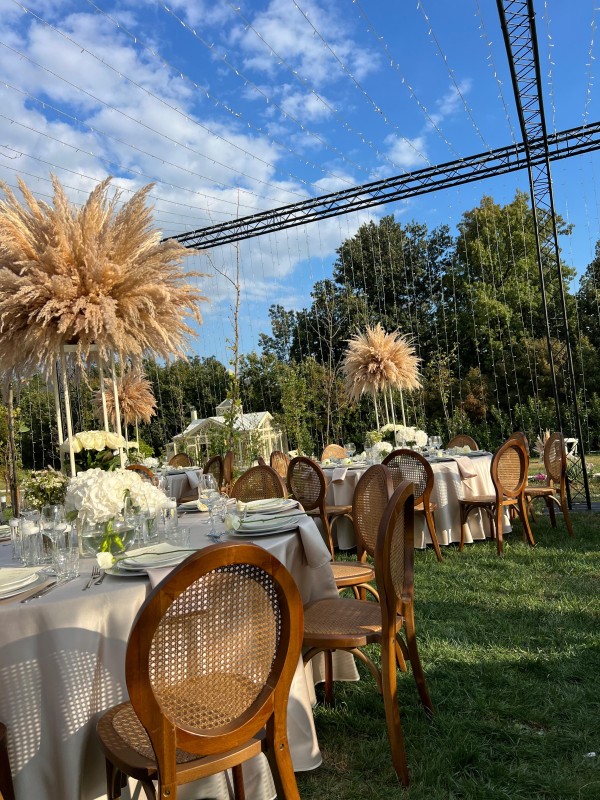 Hotel Hyde Hill / Bikini and Champagne